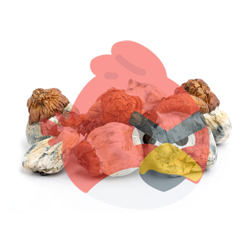 dried angry birds magic mushrooms