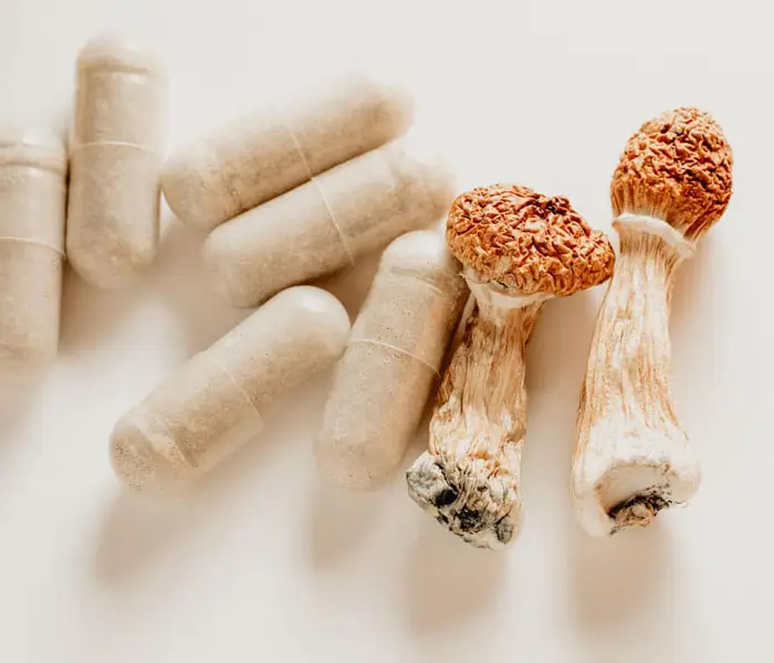 magic mushroom capsules, header image