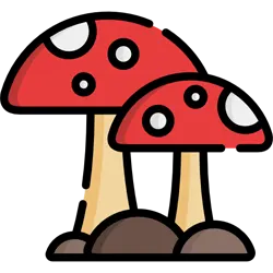 Innovation icon
