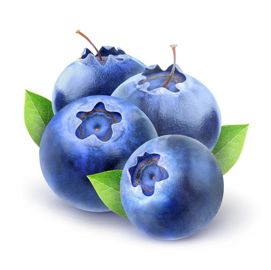 blueberry mushroom gummies