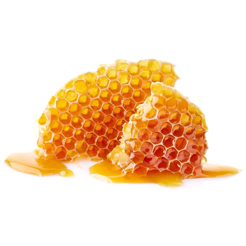 cactus honey