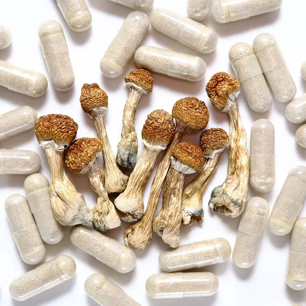 psilocybin capsules