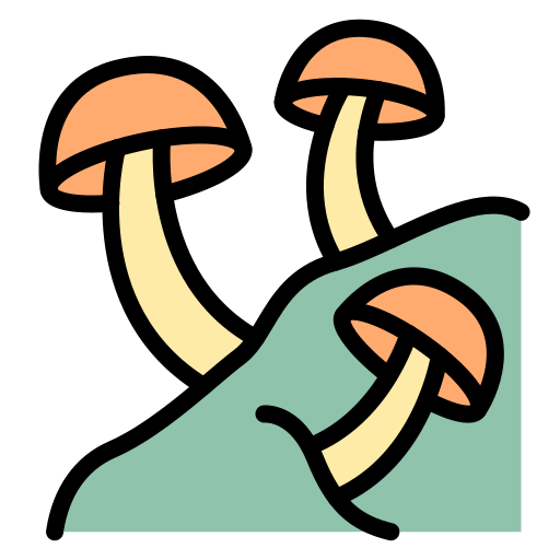 Mushrooms