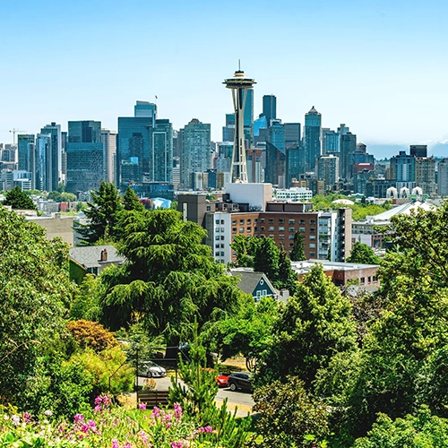 seattle magic mushroom microdosing