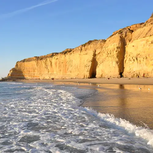microdosing mushrooms at del mar beach