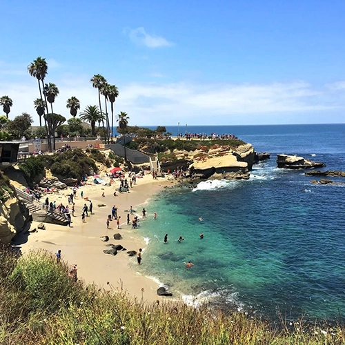 microdosing mushrooms at la jolla cove