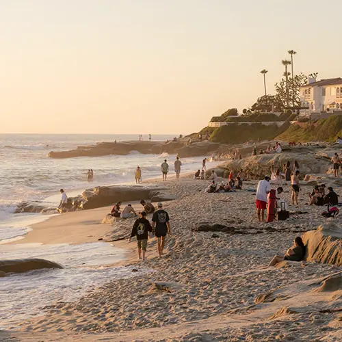 san diego beach and microdosing mushrooms