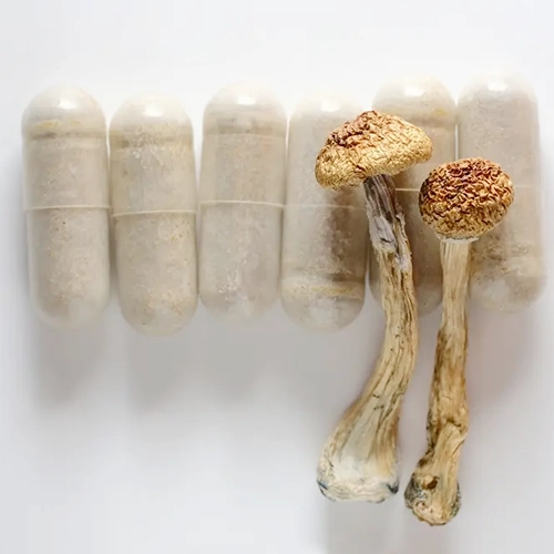 san diego mushroom capsules